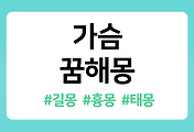 /entry/%EA%B0%80%EC%8A%B4-%EA%BF%88%ED%95%B4%EB%AA%BD-11%EA%B0%80%EC%A7%80-%ED%92%80%EC%9D%B4?category=1086519