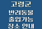 썸네일-고령군 강아지 출입 가능 식당, 카페, 펜션, 반려동물 동반 관람, 체험, 여행지 안내