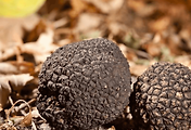 article_related_rep_thumbnail_link