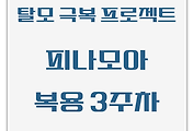 탈모 극복 프로젝트 | 피나모아 복용 3주차 관찰 보고서 (두피사진 포함)