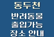 썸네일-동두천시 반려동물 출입 가능 식당, 카페, 펜션, 강아지 동반 관람, 체험, 여행지 안내