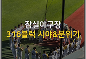 img-skin-thumbnail
