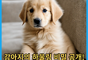 thumbnail6