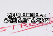 관련글이미지