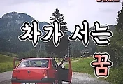 article_rep_thumbnail