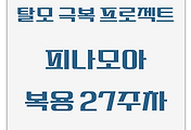 탈모 극복 프로젝트 | 피나모아 복용 27주차 관찰 후기 (두피사진 포함)
