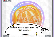 cover_item_thumbnail6