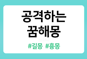 /entry/%EA%B3%B5%EA%B2%A9%ED%95%98%EB%8A%94-%EA%BF%88%ED%95%B4%EB%AA%BD-14%EA%B0%80%EC%A7%80-%ED%92%80%EC%9D%B4?category=1086519