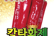 칼탄황제 고추 씨앗종자, 최고의 내병성 고추로 풍성한 수확을 기대하세요!
