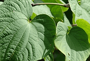 article_related_rep_thumbnail_link