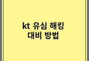 kt 유심 해킹 대비 방법