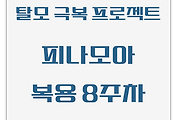 탈모 극복 프로젝트 | 내돈내산 | 피나모아 복용 8주차 관찰 후기 (두피사진 포함