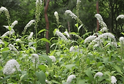article_related_rep_thumbnail_link