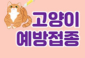 관련글섬네일
