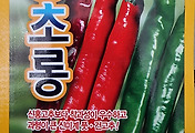 신초롱 고추 씨앗종자, 산미가 강하고 매운맛이 특징
