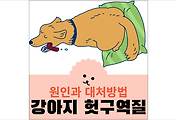 섬네일