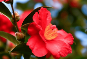 article_related_rep_thumbnail_link
