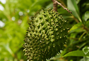 article_related_rep_thumbnail_link