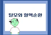 썸네일-hl-BDB