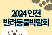 스킨이미지6