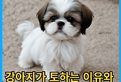 thumbnail6