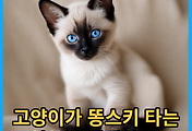 thumbnail6
