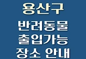 썸네일-용산구 강아지 출입 가능 식당, 카페, 펜션, 반려동물 동반 관람, 체험, 여행지 안내