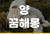 thumbnail6