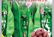 적작두콩(넝쿨) 씨앗종자: 풍부한 영양과 독특한 맛의 넝쿨성 작두콩
