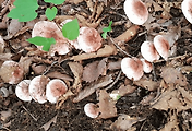 article_related_rep_thumbnail_link