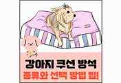 섬네일