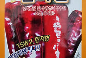칼라탄 고추 씨앗종자: 복합내병계 조생대과종 추천!