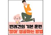 섬네일