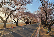 cover_item_thumbnail6