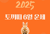 2025년 6월 『토끼띠』 운세 썸네일
