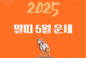 2025년 을사년 『말띠』 5월 운세 썸네일