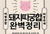 돼지띠 궁합 완벽 정리 | 돼지띠와 잘맞는 띠 vs 안맞는 띠 썸네일