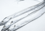 article_related_rep_thumbnail_link