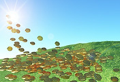 thumbnail6