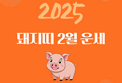 2025년 을사년 『돼지띠』 2월 운세 썸네일