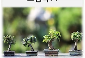 테스트5