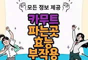 thumbnai6