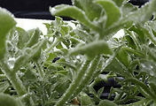article_related_rep_thumbnail_link