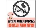 섬네일