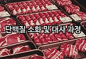 관련글이미지