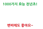 관련글썸네일