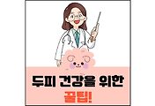 섬네일