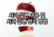 관련글이미지