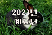 article_related_rep_thumbnail_link