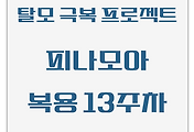 탈모 극복 프로젝트 | 내돈내산 | 피나모아 복용 13주차 관찰 후기 (두피사진 포함)